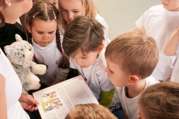 kampfsport-friedberg-kampfkatzen_600x400